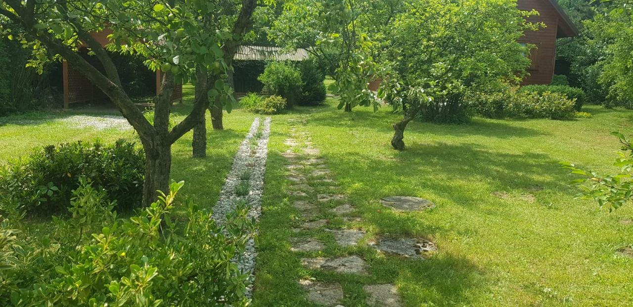 Szyszka I Roza Domek Na Jurze Zelazko Exterior photo